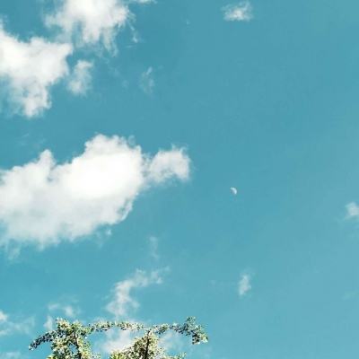 乐鱼app官网正式版下载